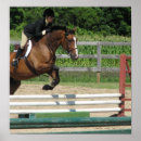 Search for show jumping art Equestrian