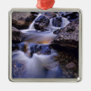 Search for creek fall Stream