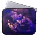 Search for wisps Purple