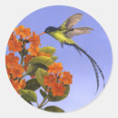 Search for blue hummingbird stickers Flight
