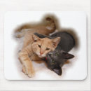 Search for lover mousepads Feline