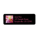 Search for stargazer lily return address labels Pink