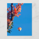 Search for hotness postcards Nature