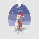 Search for yellow lab christmas tree decorations Animals