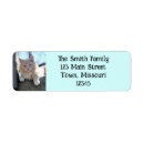 Search for tiger return address labels Pet