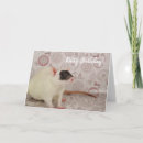 Search for fancy rat cards Rats