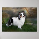 Search for sheltie posters Sheepdog