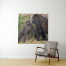 Search for affectionate posters Wildlife