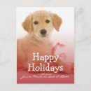 Search for people christmas cards Studio shot