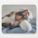 Search for sleeping cat mousepads Calico