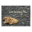Search for fallen leaf Nature