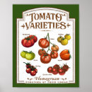 Search for chicken decor posters Farm