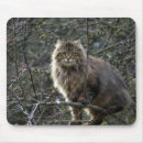 Search for long mousepads Tabby