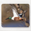 Search for duck mousepads Fowl
