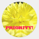 Search for dahlia flower stickers Dahlias