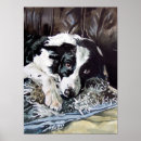 Search for collie pet posters Watercolor