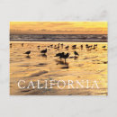 Search for moonlight postcards California