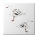 Search for bird tiles Sea