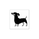 Search for dachshund rubber stamps Puppy
