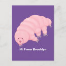 Search for bear pink postcards Cartoon