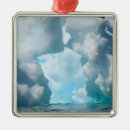 Search for shore shore christmas tree decorations Coast