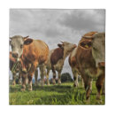 Search for beef home decor Bull
