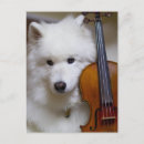 Search for buy postcards Dog
