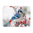 Search for marion cards Illinois