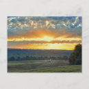 Search for ranch postcards Texas