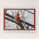 Search for cardinal bird puzzles Red