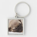 Search for puppies key rings Baby animals