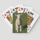 Search for sheep playing cards Ewe