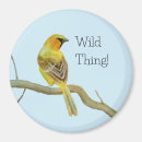 Search for oriole magnets Orange