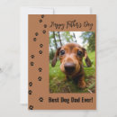 Search for fathers day dog dad Modern