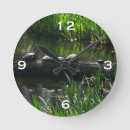 Search for turtle clocks Photography