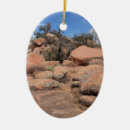 Search for idyllic christmas tree decorations Scenic