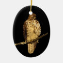 Search for red tail hawk christmas tree decorations Animal