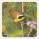 Search for habitat stickers Green