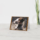 Search for pointer dog cards Canine