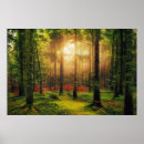 Search for sunrise posters Landscape