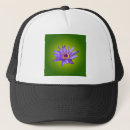 Search for flowering lilies hats Nature