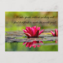 Search for buddha quotes postcards Yoga