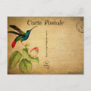 Search for vintage bird paintings postcards French