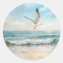 Search for flying seagull stickers Beach