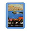Search for lake como magnets Vintage