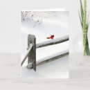 Search for fence christmas cards Birds