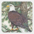 Search for wild life stickers America
