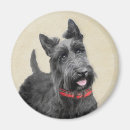 Search for scottish magnets Scottie