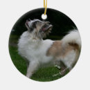 Search for long haired chihuahua christmas tree decorations Looking up