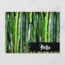 Search for bamboo plants postcards Asian